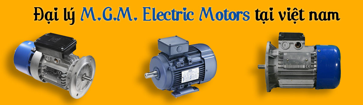 Đại lý m.g.m. electric motorstại Việt Nam