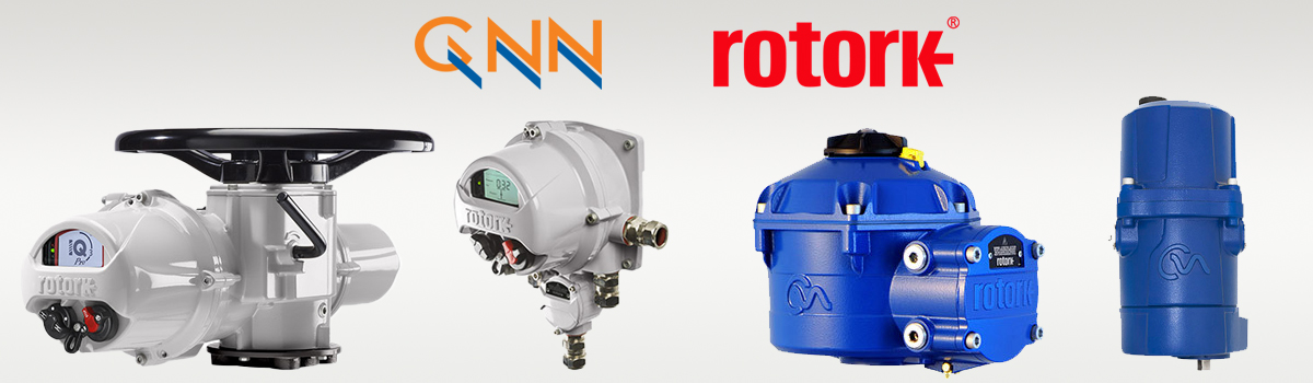dai-ly-rotork-viet-nam