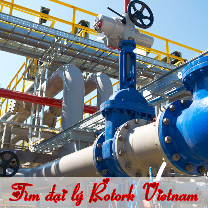 Rotork vietnam